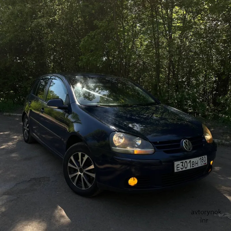 Volkswagen Golf V (2004)